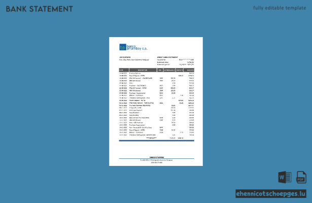 Beispiel eines Kontoauszugs der paraguayischen Banco Amambay (Excel-Vorschau)